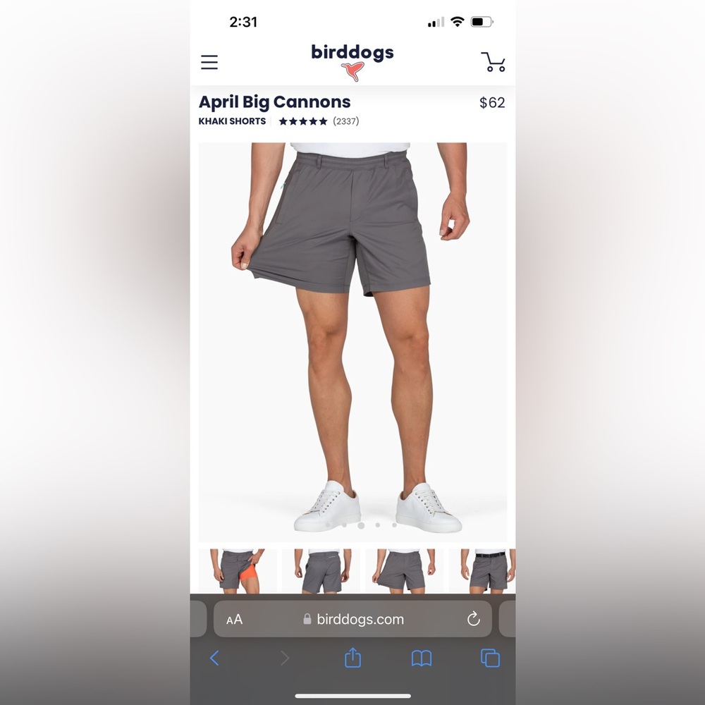 NWT BIRDDOGS April Big Cannons Shorts Sz L, 7” length. Dark grey